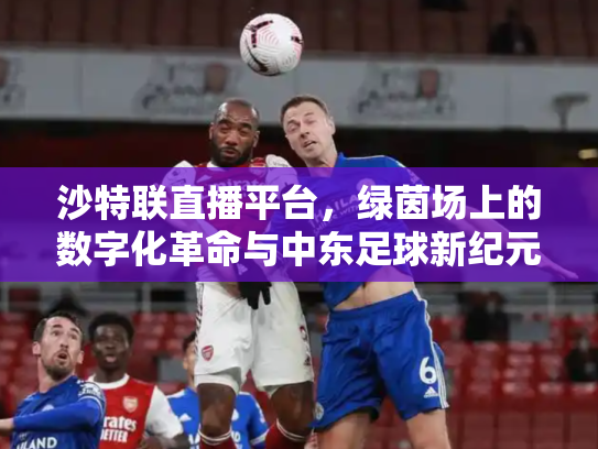 沙特联直播平台，绿茵场上的数字化革命与中东足球新纪元