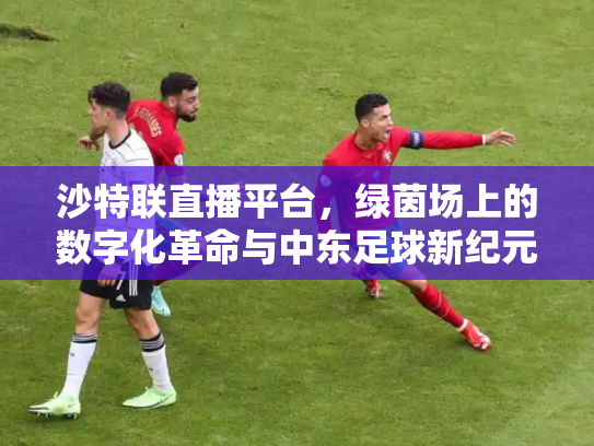 沙特联直播平台，绿茵场上的数字化革命与中东足球新纪元