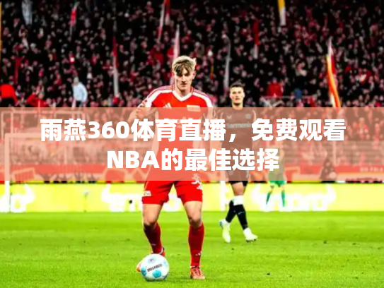 雨燕360体育直播，免费观看NBA的最佳选择