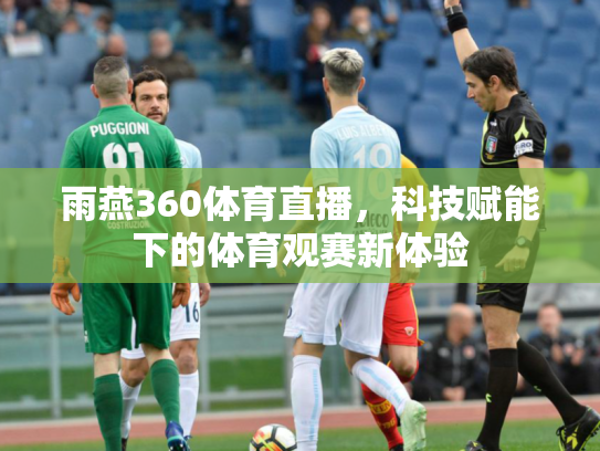 雨燕360体育直播，科技赋能下的体育观赛新体验