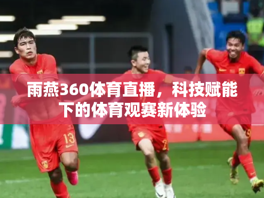 雨燕360体育直播，科技赋能下的体育观赛新体验