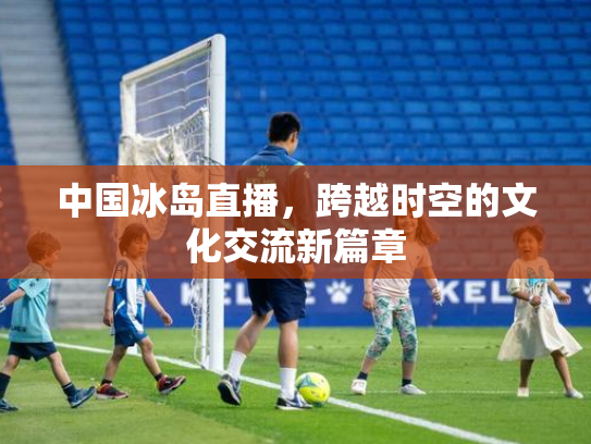 中国冰岛直播，跨越时空的文化交流新篇章