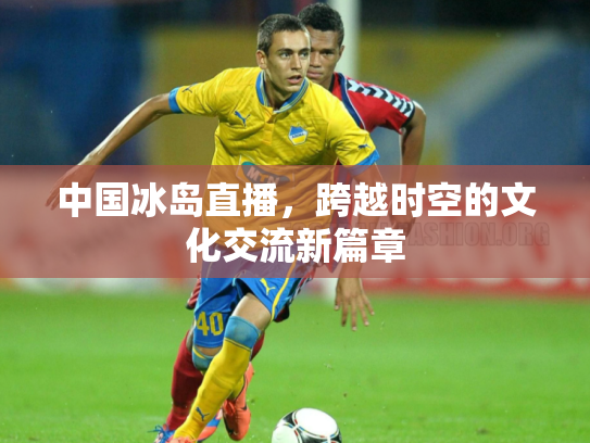 中国冰岛直播，跨越时空的文化交流新篇章