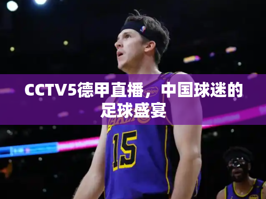 CCTV5德甲直播，中国球迷的足球盛宴