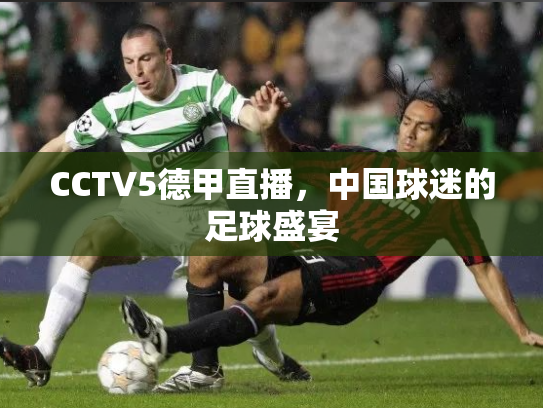 CCTV5德甲直播，中国球迷的足球盛宴