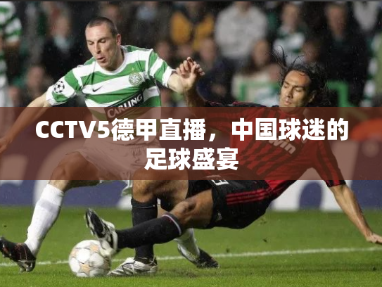 CCTV5德甲直播，中国球迷的足球盛宴
