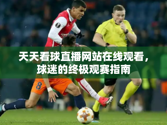 天天看球直播网站在线观看，球迷的终极观赛指南