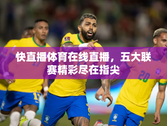 快直播体育在线直播，五大联赛精彩尽在指尖