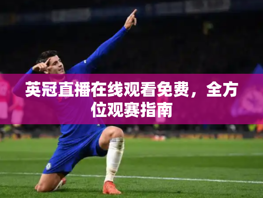 英冠直播在线观看免费，全方位观赛指南
