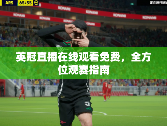 英冠直播在线观看免费，全方位观赛指南