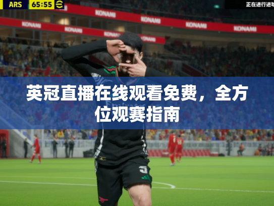 英冠直播在线观看免费，全方位观赛指南