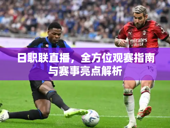 日职联直播，全方位观赛指南与赛事亮点解析