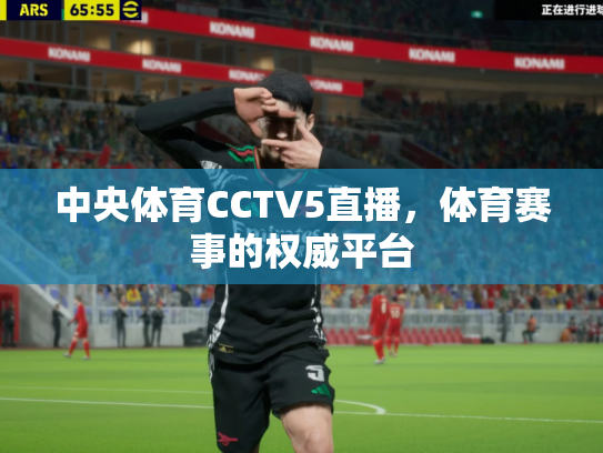 中央体育CCTV5直播，体育赛事的权威平台