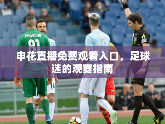 申花直播免费观看入口，足球迷的观赛指南