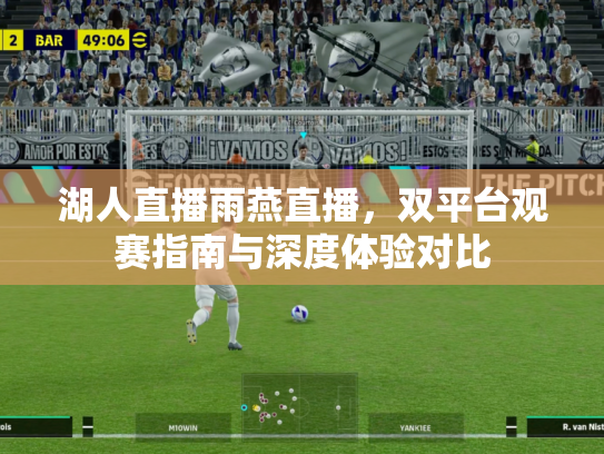 湖人直播雨燕直播，双平台观赛指南与深度体验对比