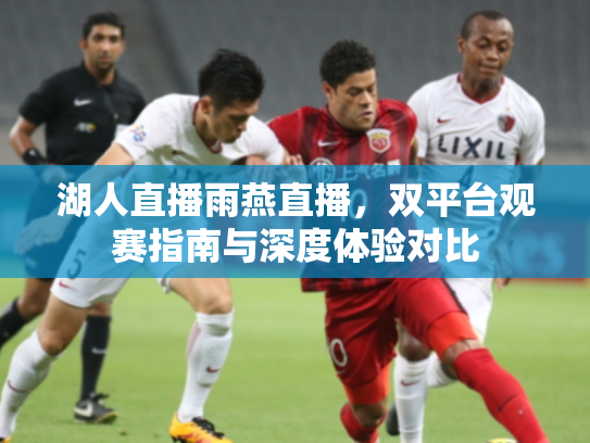 湖人直播雨燕直播，双平台观赛指南与深度体验对比