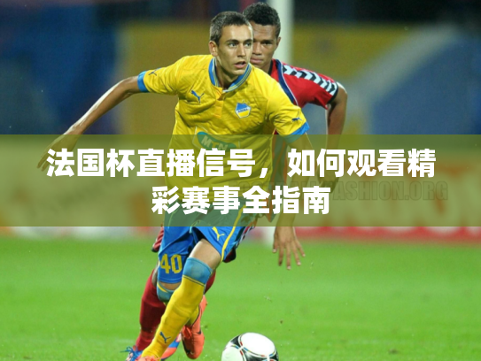 法国杯直播信号，如何观看精彩赛事全指南