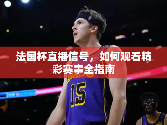 法国杯直播信号，如何观看精彩赛事全指南