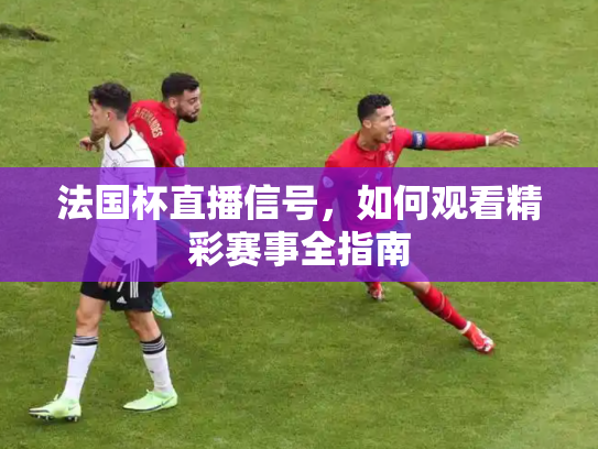 法国杯直播信号，如何观看精彩赛事全指南