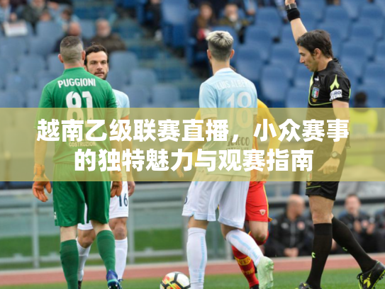 越南乙级联赛直播，小众赛事的独特魅力与观赛指南