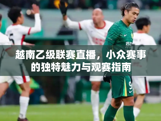 越南乙级联赛直播，小众赛事的独特魅力与观赛指南
