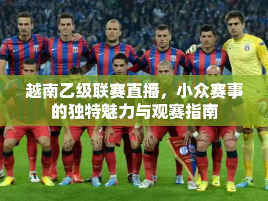 越南乙级联赛直播，小众赛事的独特魅力与观赛指南