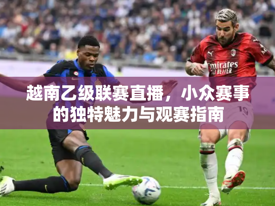 越南乙级联赛直播，小众赛事的独特魅力与观赛指南
