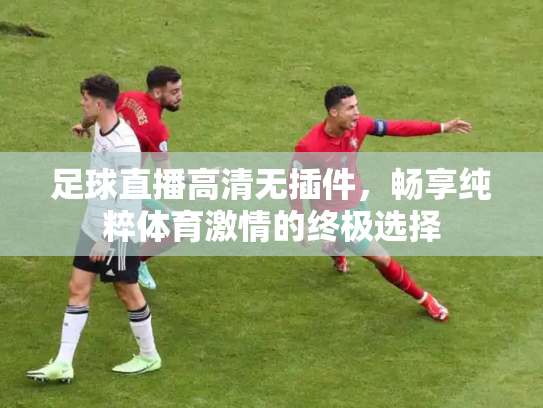 足球直播高清无插件，畅享纯粹体育激情的终极选择