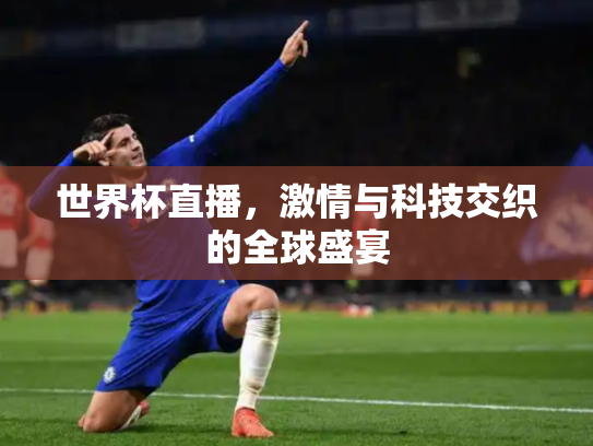 世界杯直播，激情与科技交织的全球盛宴