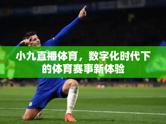 小九直播体育，数字化时代下的体育赛事新体验