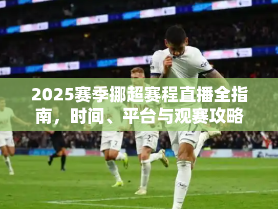 2025赛季挪超赛程直播全指南，时间、平台与观赛攻略