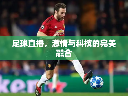 足球直播，激情与科技的完美融合