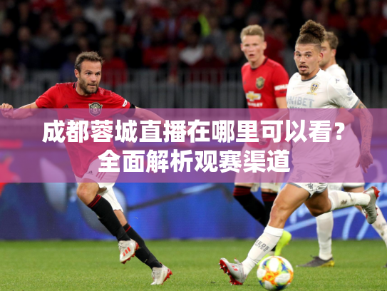 成都蓉城直播在哪里可以看？全面解析观赛渠道