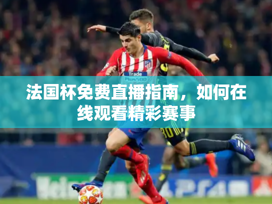 法国杯免费直播指南，如何在线观看精彩赛事