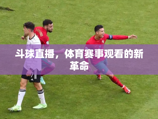 斗球直播，体育赛事观看的新革命