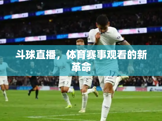 斗球直播，体育赛事观看的新革命