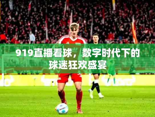 919直播看球，数字时代下的球迷狂欢盛宴