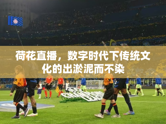 荷花直播，数字时代下传统文化的出淤泥而不染