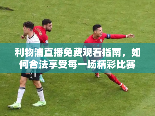 利物浦直播免费观看指南，如何合法享受每一场精彩比赛