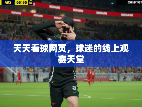 天天看球网页，球迷的线上观赛天堂