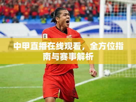 中甲直播在线观看，全方位指南与赛事解析