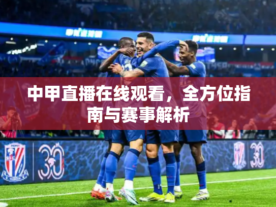 中甲直播在线观看，全方位指南与赛事解析