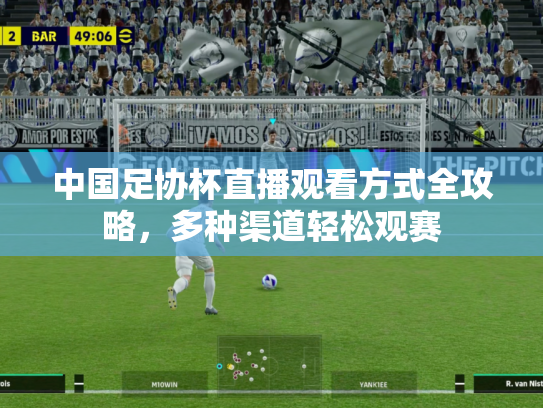 中国足协杯直播观看方式全攻略，多种渠道轻松观赛
