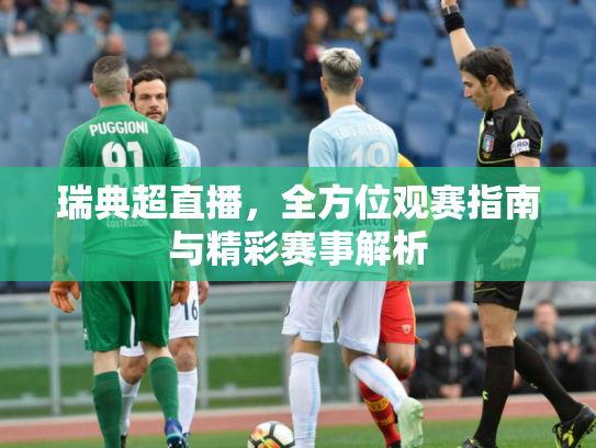 瑞典超直播，全方位观赛指南与精彩赛事解析