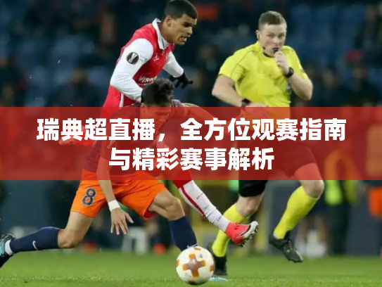 瑞典超直播，全方位观赛指南与精彩赛事解析