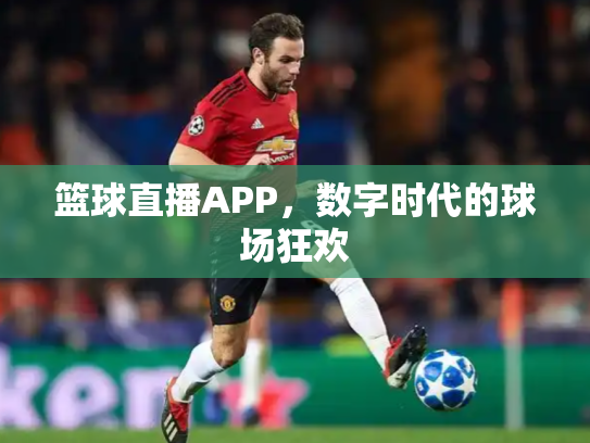 篮球直播APP，数字时代的球场狂欢