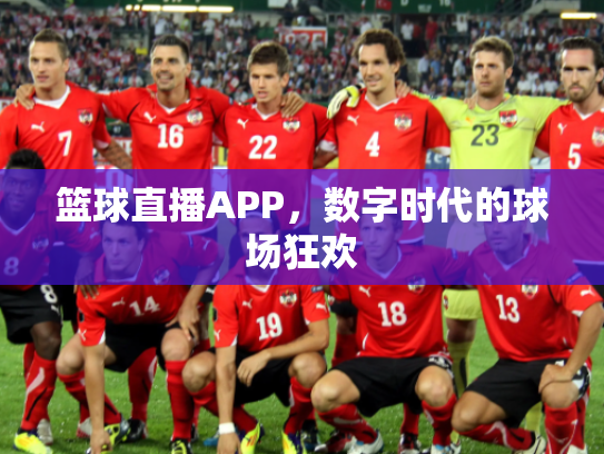 篮球直播APP，数字时代的球场狂欢