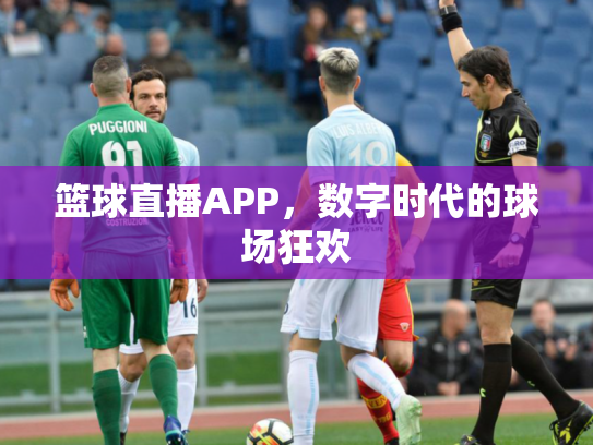 篮球直播APP，数字时代的球场狂欢