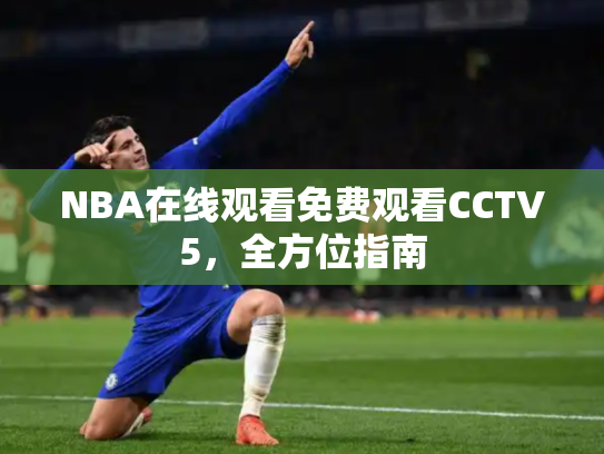 NBA在线观看免费观看CCTV5，全方位指南