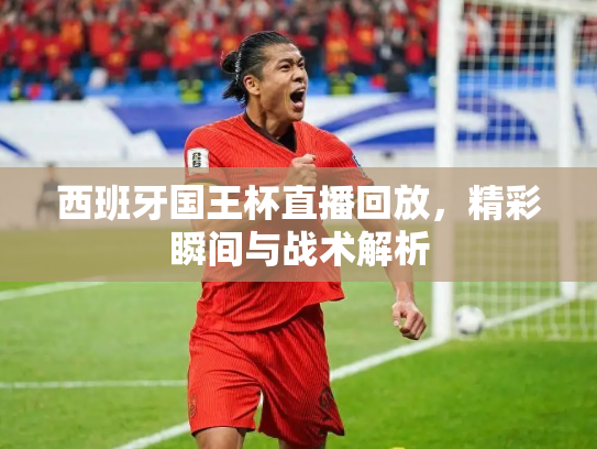 西班牙国王杯直播回放，精彩瞬间与战术解析